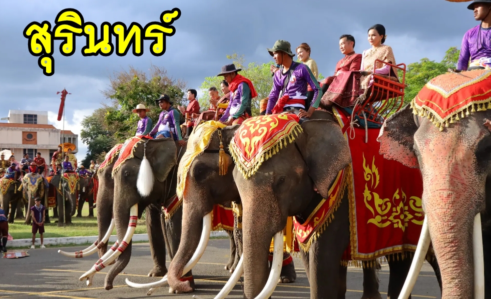 เหมารถสุรินทร์